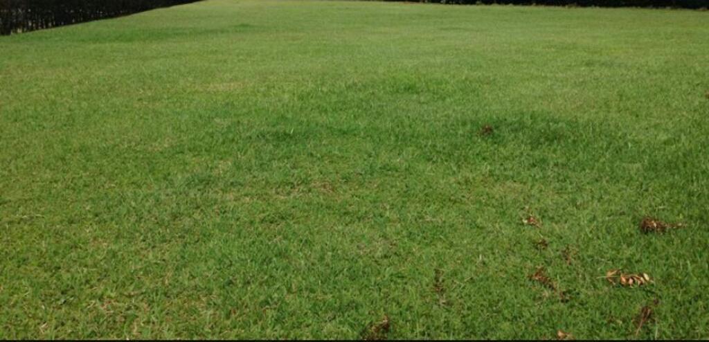 Vendo Hermoso Lote en