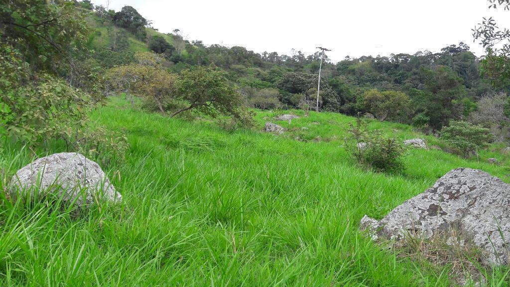 Finca para Cultivos O Ganadería