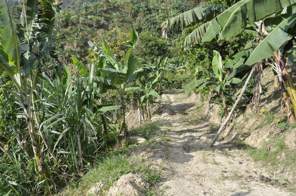 Hermosa finca en producciòn