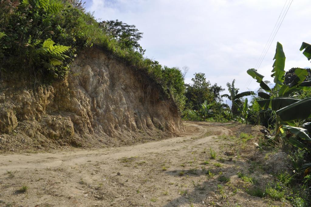 Hermosa finca en producciòn