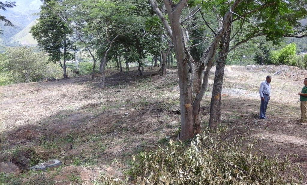 Lote San Jeronimo Vende