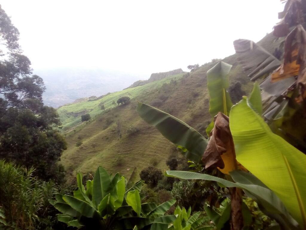 Casa Finca en Vereda Hato Viejo