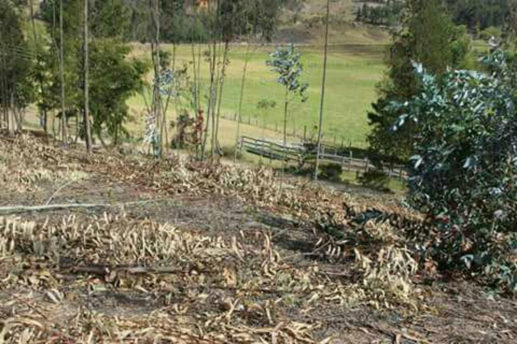 Lote en Firavitoba Boyaca