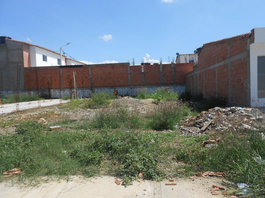 LOTE PATIOS 45 MM NEGOCIABLES