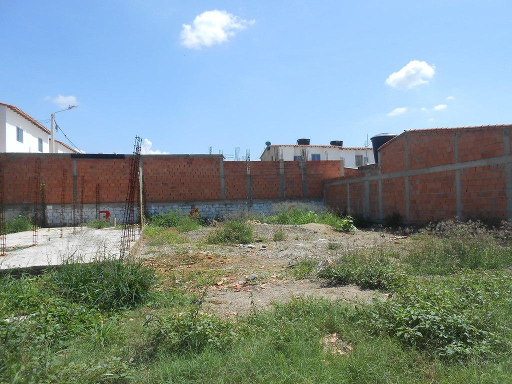 LOTE PATIOS 45 MM NEGOCIABLES