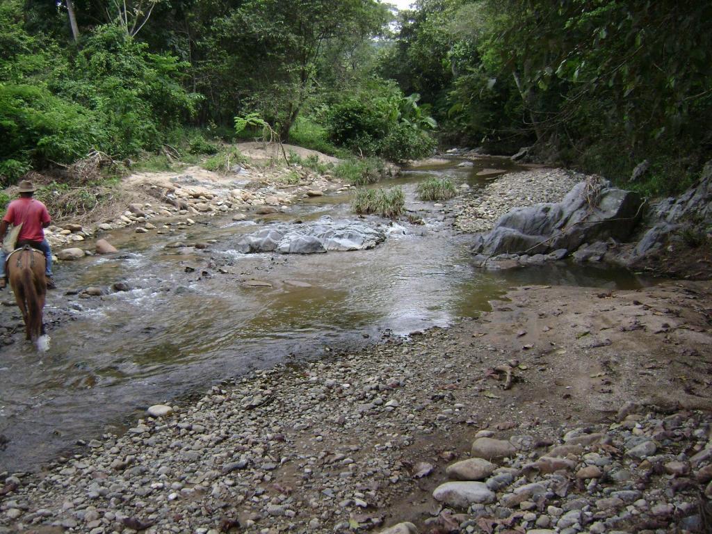 vendo hermosa finca agrícola ganadera bien ubicada