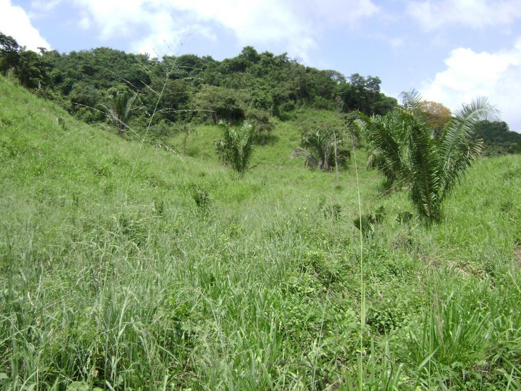 vendo hermosa finca agrícola ganadera bien ubicada