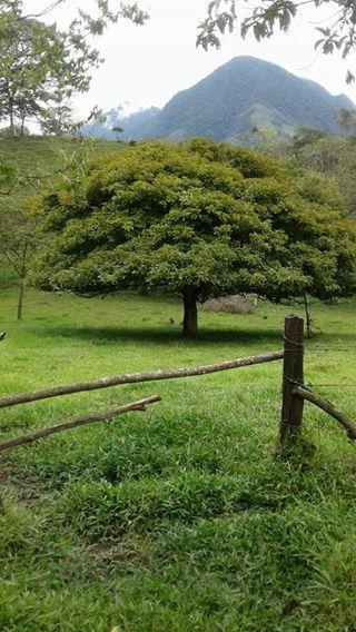 2 Hectareás de terreno y RESERVA FORESTAL GRANDE , RÍO cercano
