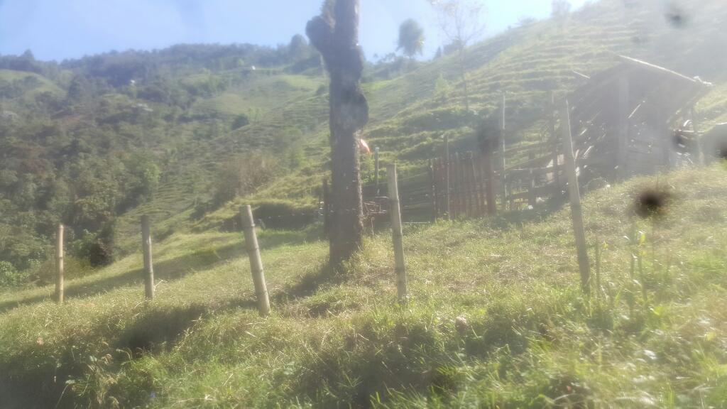 Veno Permuto Finca por Casa