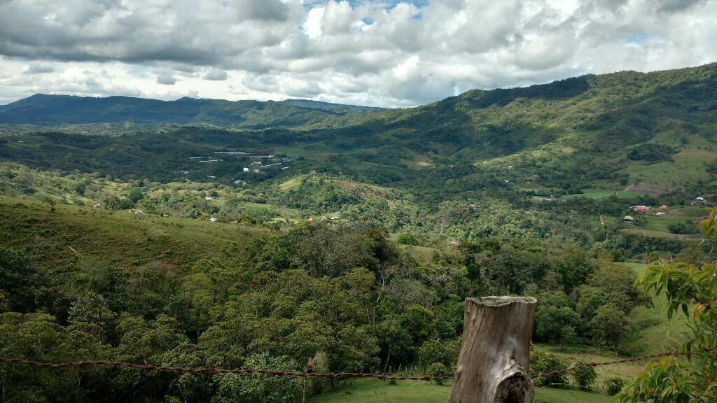 Finca Ganadera Ojo Regalada Todo Al Dia