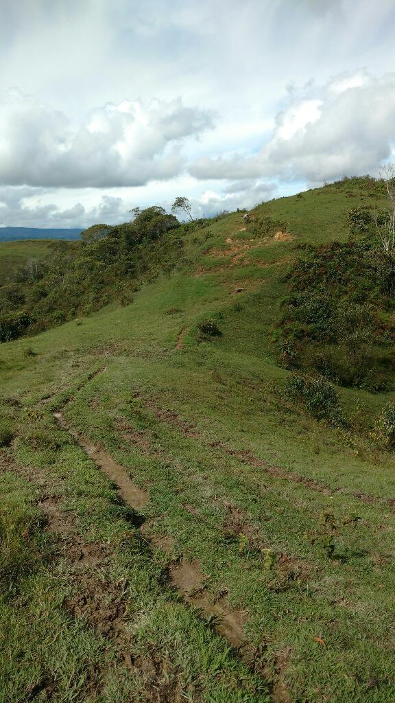 Finca Ganadera Ojo Regalada Todo Al Dia