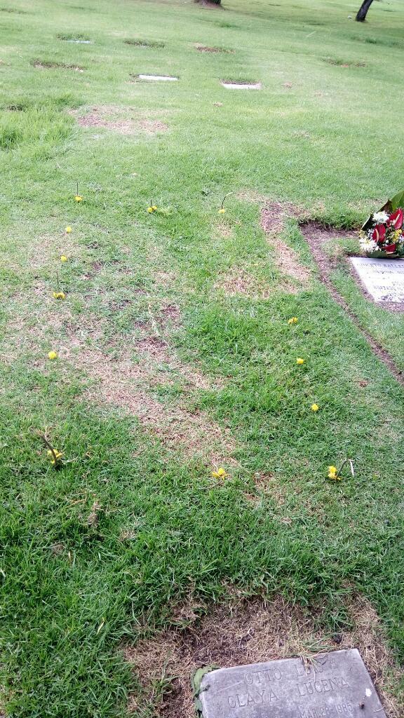 Lote Doble en Jardines de Paz