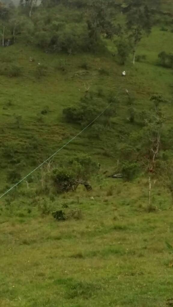 Vendo O Permuto Finca Tres Hectareas