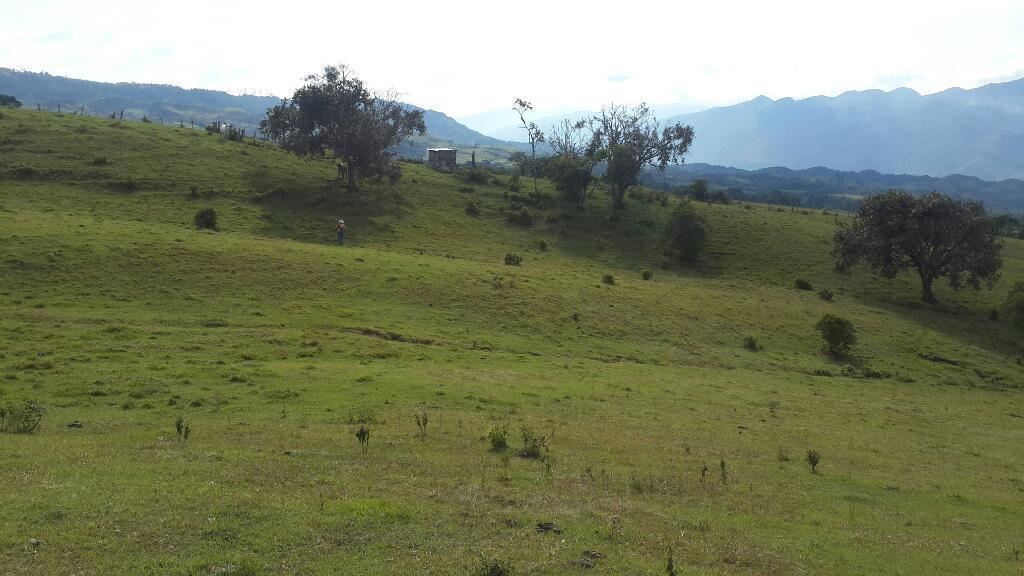 Se Vende Finca en