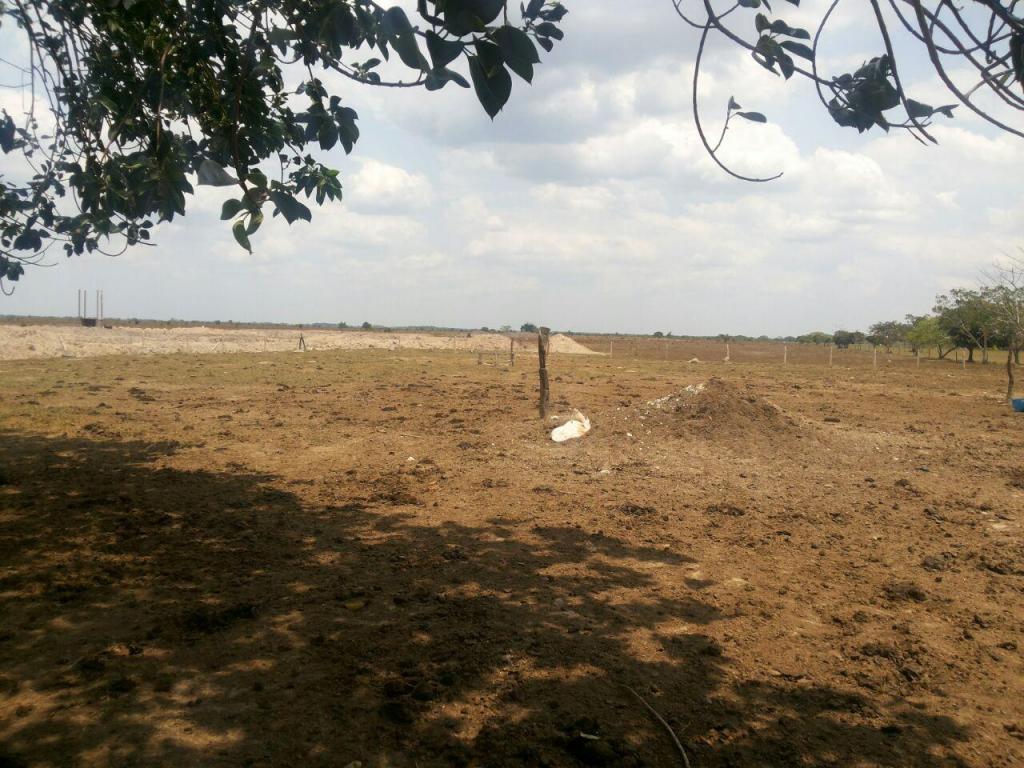 VENDEMOS FINCA GANADERA DE 360 HECTÁREAS, EN MANÍ