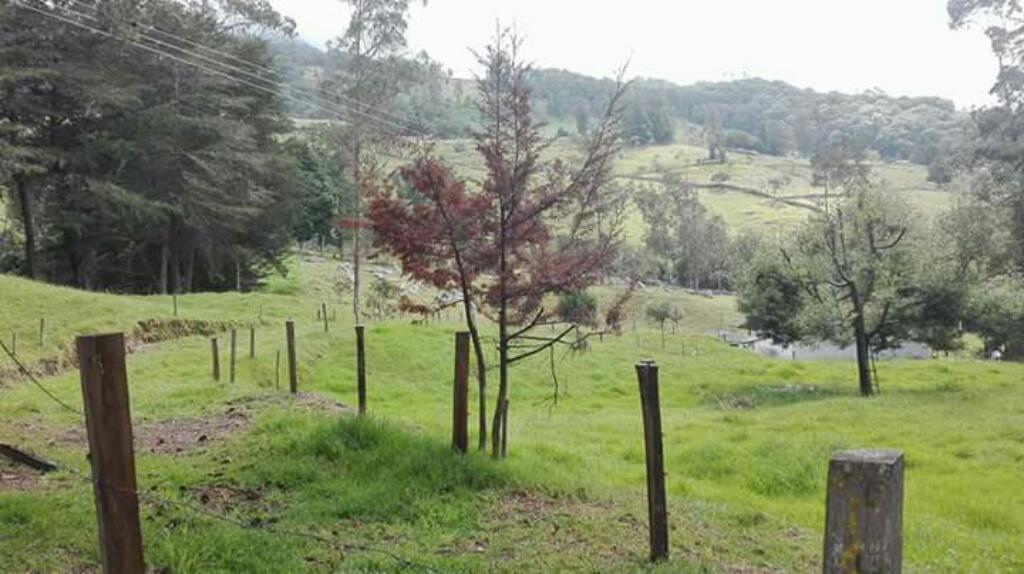 Se Vende Finca en