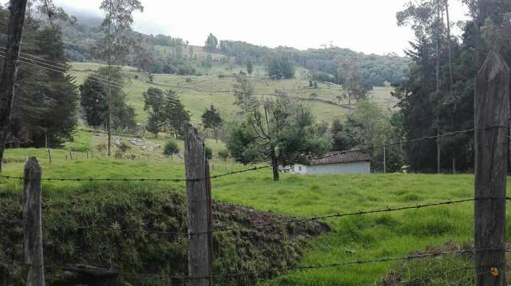 Se Vende Finca en