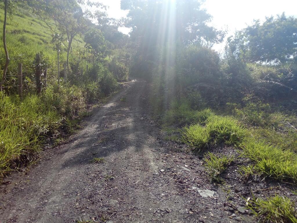 Vendo Finca en Pacho para Proyecto Agríc