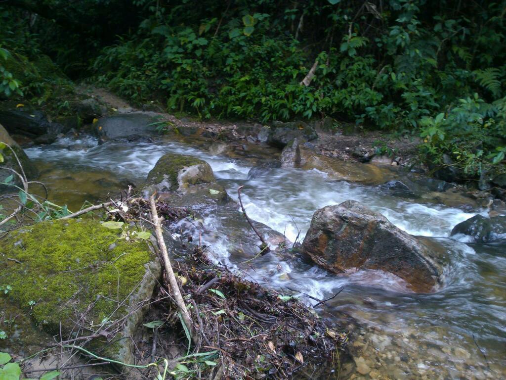 Finca Parcela en El Zulia