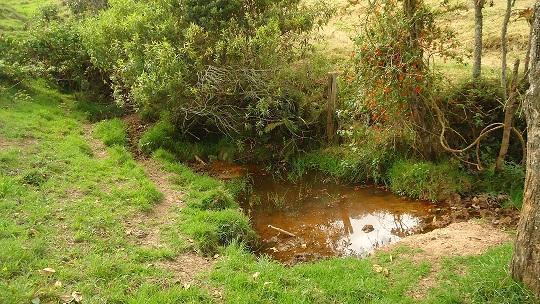 LOTE EN VEREDA LA HONDURA ADELANTE DEL ROSAL CUND