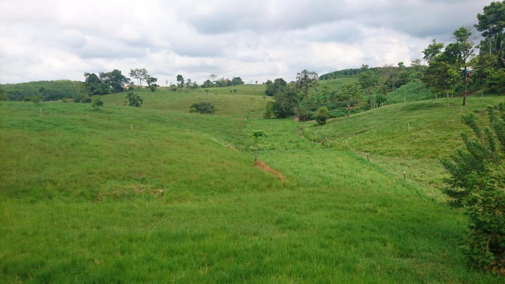 FINCA GANADERA 12 HECTAREAS, POZO NUTRIA