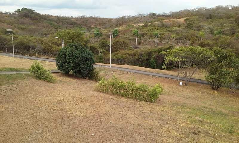 Venta Lote Ricaurte cundinamarca