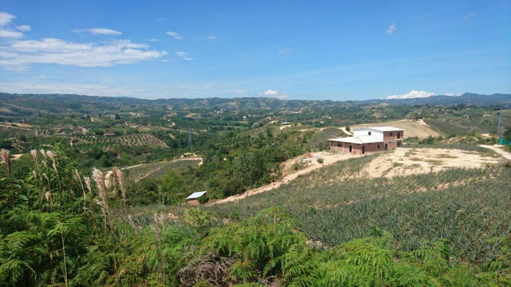 VENTA DE FINCA EN  VEREDA EL OSO COMUNÍQUESE YA 3187777657 CÓDIGO 131