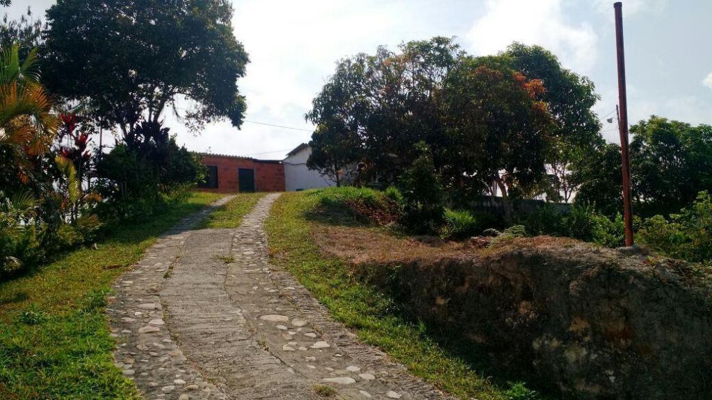 Finca  bonita