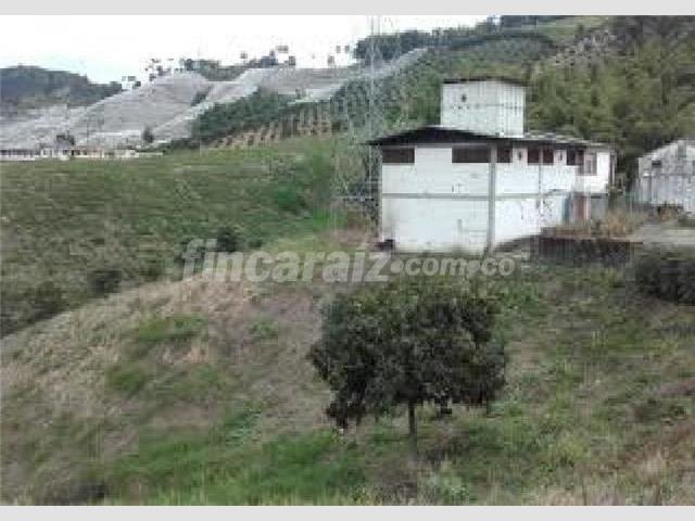 Lote en venta en palestina 2351416