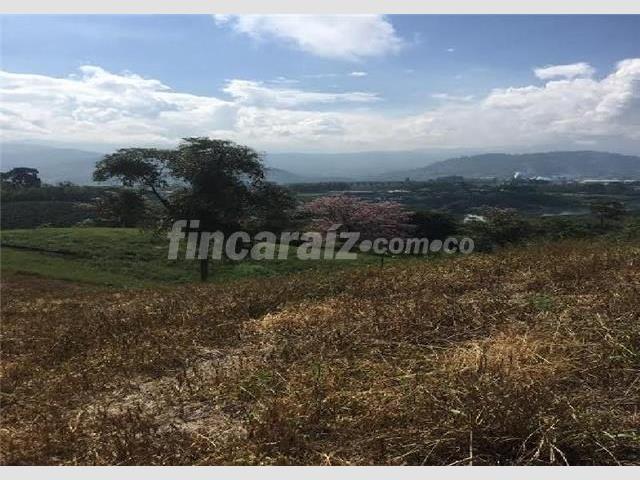 Lote en venta en palestina 2351416