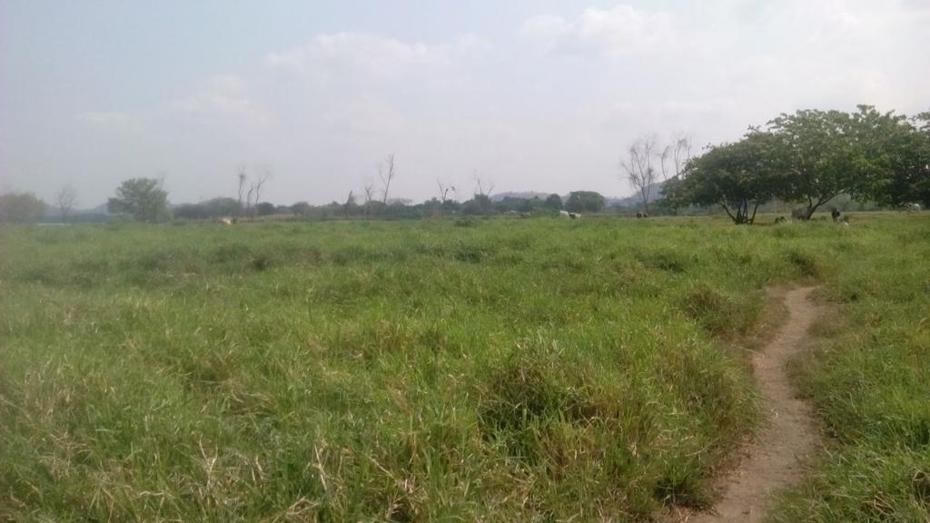 Se Vende Finca en  Sur de Bolivar