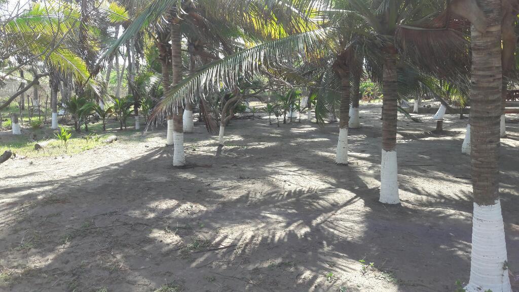 Hermoso Lote de 500mt Salgar Sabanilla