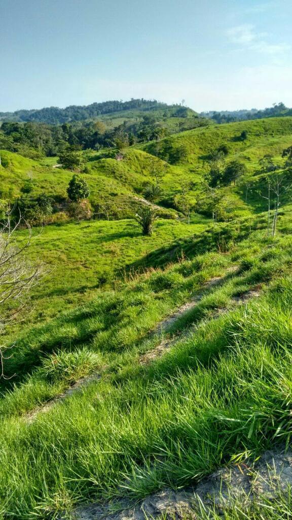 Finca Ganadera