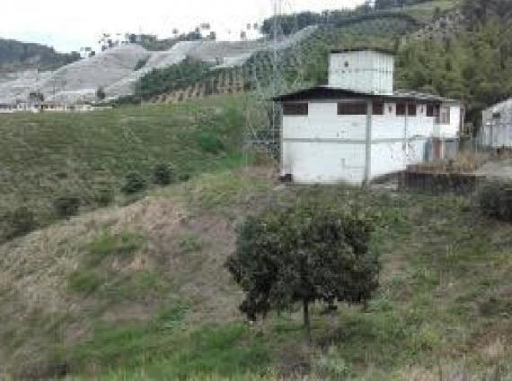 Lote en Palestina $ 130,000,000 Venta 18289