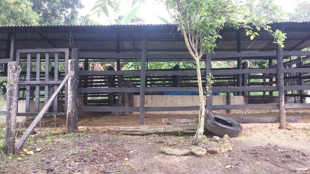 Se Vende Finca en Icononzo