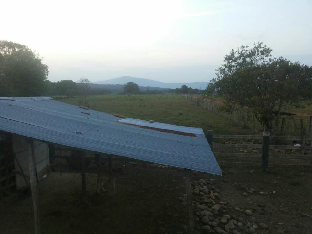 Vendo Finca / Barranca de Upía (meta)