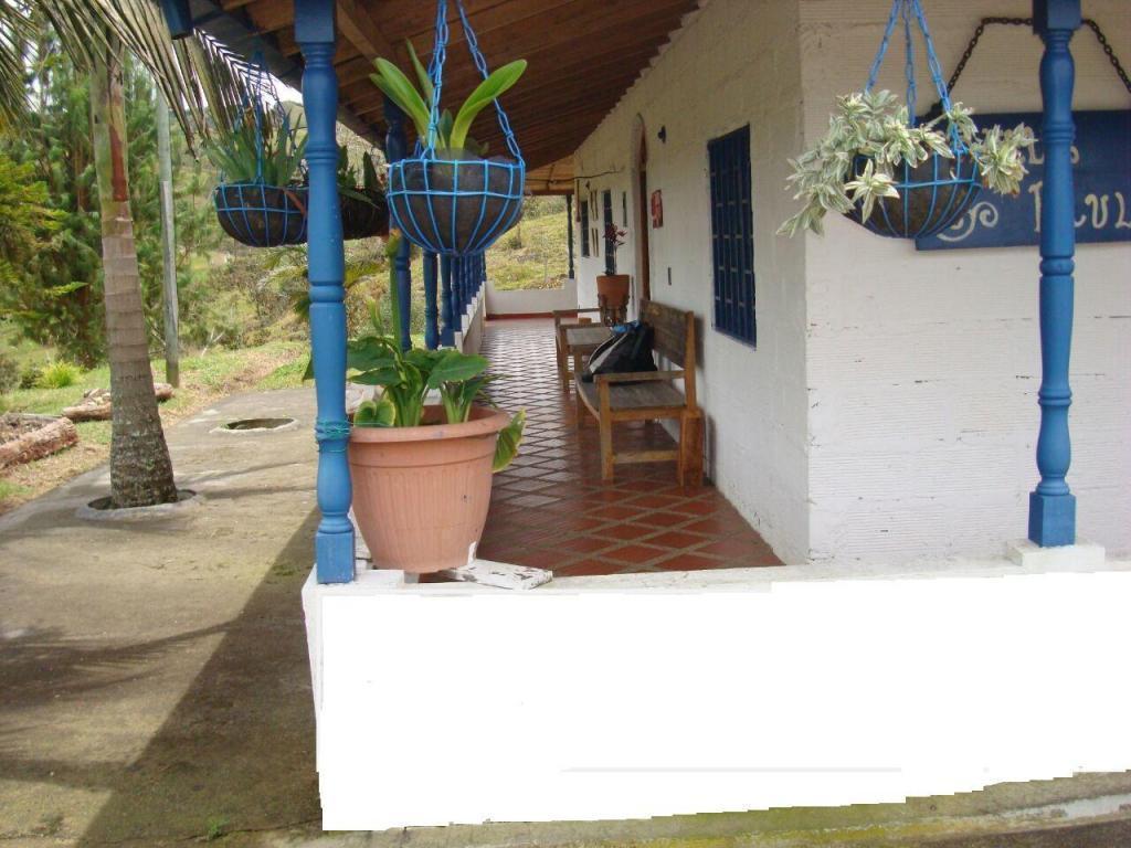 GRAN REMATE DE CASA FINCA