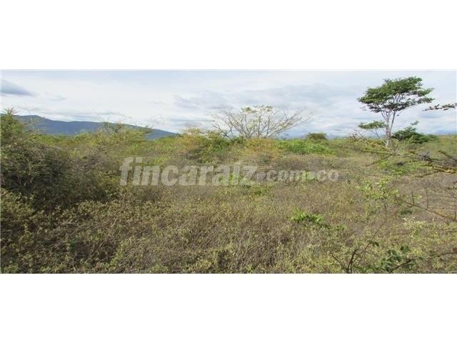 Venta lote Chinauta wasi_251573 gihabitat