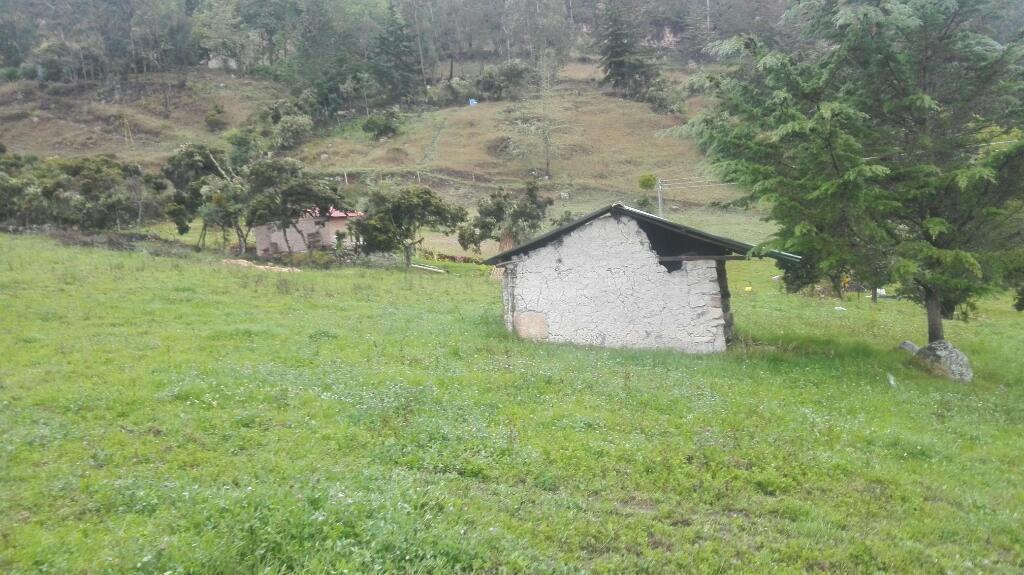 Vendo Finca en El Municipio de Jenesano