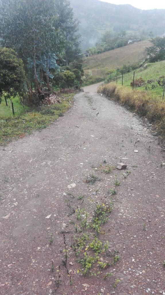 Vendo Finca en El Municipio de Jenesano