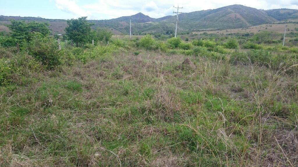 Vendopermuto Lote