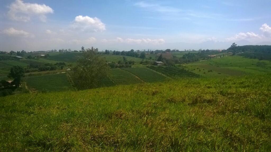 LOTE DE 1250 MTS2 EN LA MESA DE  CON ESCRITURA PUBLICA