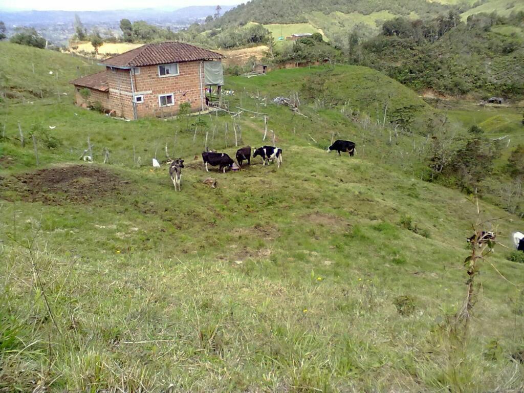 Vendo O Cambio Finca en El