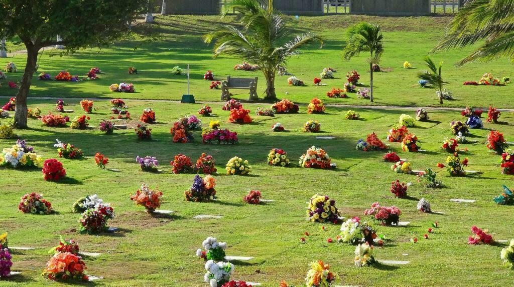 Remato Lote Jardines La Eternidad