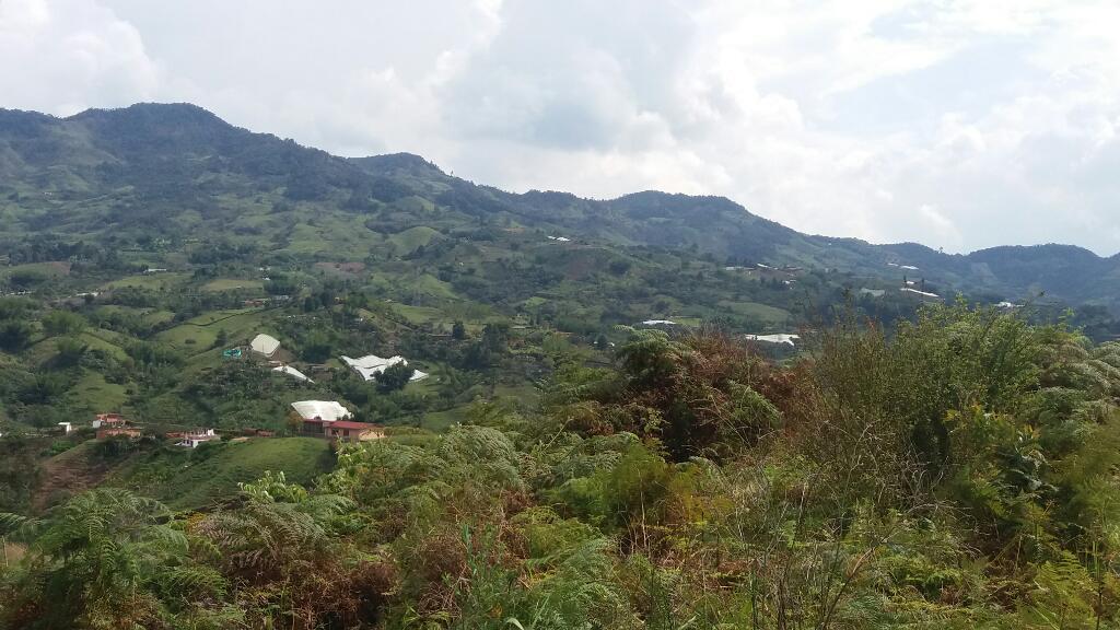 Vendo Lote en El Peñol