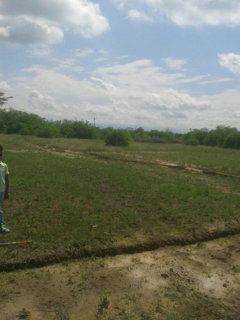 Vendo O Permuto Lote en El Guamo Tolima