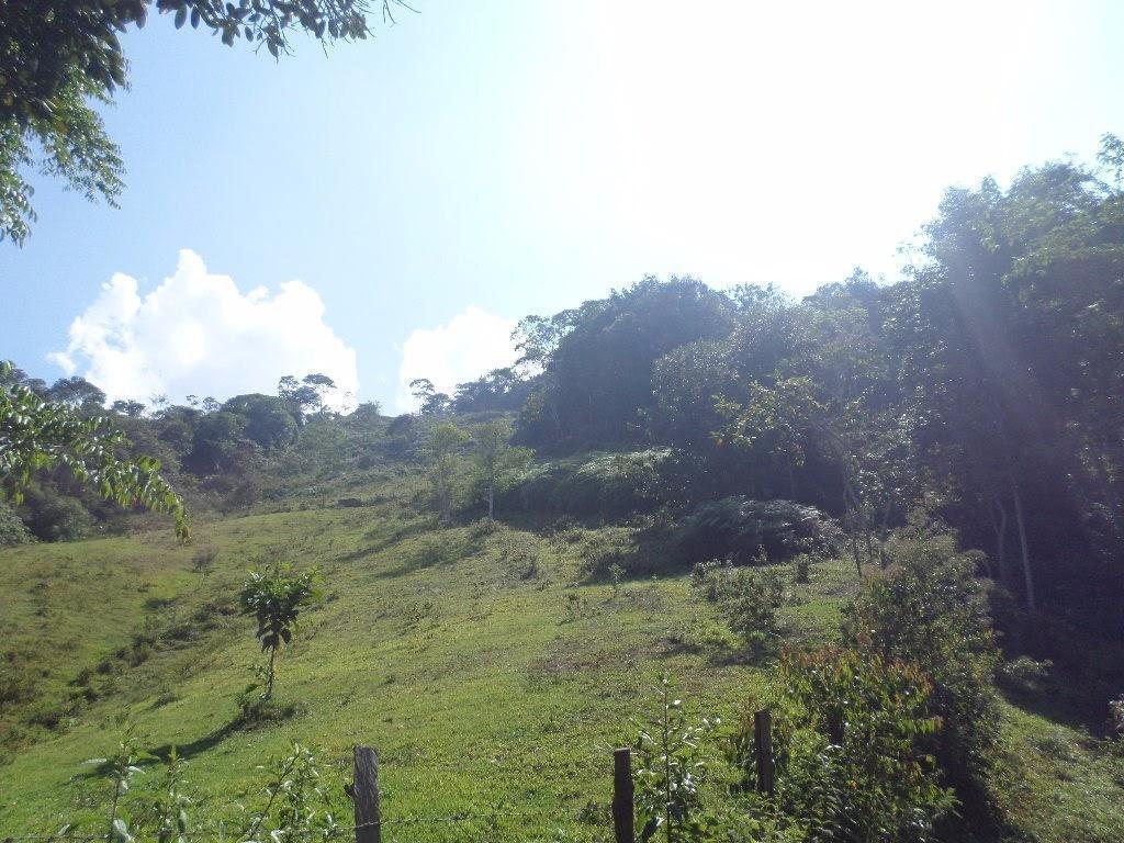 VENDO HERMOSA FINCA GANADERA  VEREDA SAN GABRIEL COMUNÍQUESE YA 318777657 CÓDIGO 016