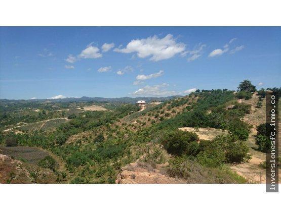 VENTA DE FINCA EN  VEREDA EL OSO COMUNÍQUESE YA 3187777657 CÓDIGO 019