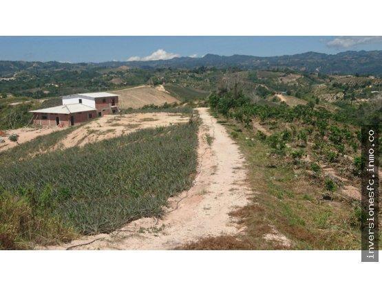 VENTA DE FINCA EN  VEREDA EL OSO COMUNÍQUESE YA 3187777657 CÓDIGO 019