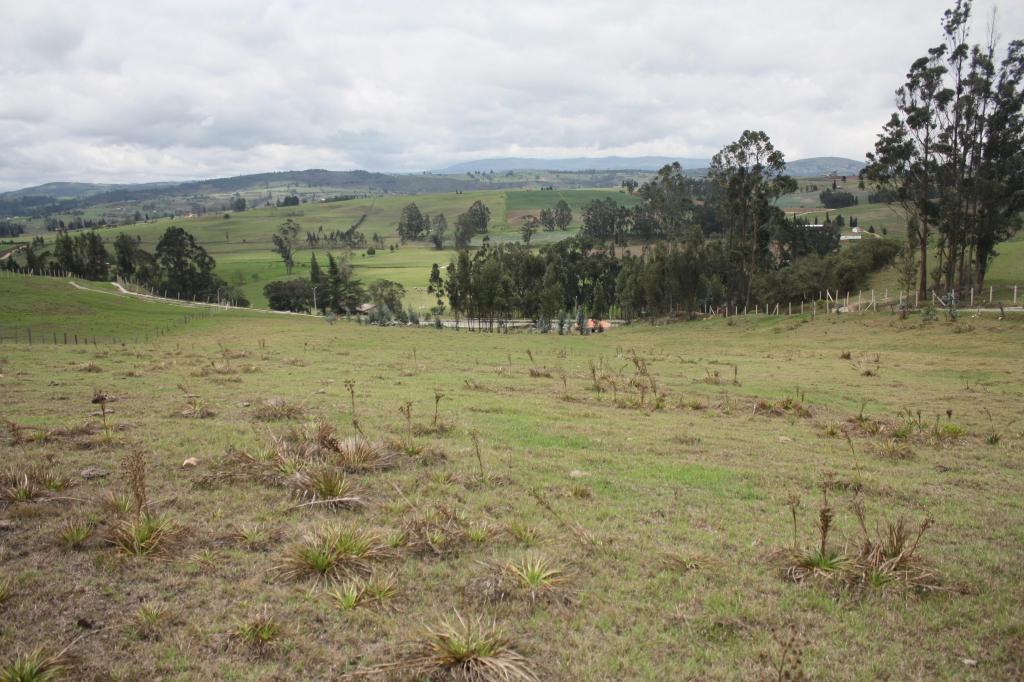 VENPERMUTO BONITO LOTE EN BOYACA